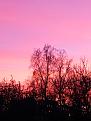 Нажмите на изображение для увеличения.

Название:	IMG_20221113_173643.jpg
Просмотров:	1025
Размер:	282.6 Кб
ID:	4441484