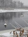 Нажмите на изображение для увеличения.

Название:	IMG_20221217_155322.jpg
Просмотров:	3702
Размер:	383.8 Кб
ID:	4443450