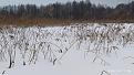 Нажмите на изображение для увеличения.

Название:	IMG_20221227_133543.jpg
Просмотров:	3102
Размер:	583.0 Кб
ID:	4444314