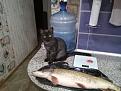 Нажмите на изображение для увеличения.

Название:	IMG_20230129_185922_222.jpg
Просмотров:	9856
Размер:	816.2 Кб
ID:	4446120