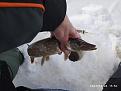 Нажмите на изображение для увеличения.

Название:	IMG_20230228_155054.jpg
Просмотров:	902
Размер:	356.8 Кб
ID:	4447925