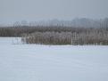 Нажмите на изображение для увеличения.

Название:	IMG_7831.JPG
Просмотров:	1363
Размер:	259.9 Кб
ID:	4470756