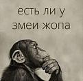 Нажмите на изображение для увеличения.

Название:	407732601_734927185153608_5918977566308889108_n.jpg
Просмотров:	1362
Размер:	26.9 Кб
ID:	4471299