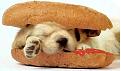 Нажмите на изображение для увеличения.

Название:	hohmodrom_Hot_dog.jpg
Просмотров:	1765
Размер:	47.6 Кб
ID:	4488655