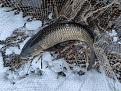 Нажмите на изображение для увеличения.

Название:	IMG_20231224_180454.jpg
Просмотров:	13623
Размер:	604.0 Кб
ID:	4489028