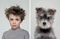 Нажмите на изображение для увеличения.

Название:	sobaki-i-vladeltsy-fotograf-Dzherard-Getings_7.jpg
Просмотров:	2158
Размер:	165.6 Кб
ID:	4489125