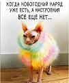 Нажмите на изображение для увеличения.

Название:	414139545_2650998688390134_4872087862814497192_n.jpg
Просмотров:	1518
Размер:	137.3 Кб
ID:	4489395
