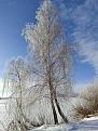 Нажмите на изображение для увеличения.

Название:	IMG_20240106_120529.jpg
Просмотров:	1013
Размер:	518.1 Кб
ID:	4489790