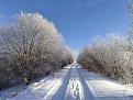 Нажмите на изображение для увеличения.

Название:	IMG_20240106_120723.jpg
Просмотров:	1009
Размер:	505.5 Кб
ID:	4489791