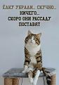 Нажмите на изображение для увеличения.

Название:	419795663_7500152063350186_2018782949315545653_n.jpg
Просмотров:	2265
Размер:	66.5 Кб
ID:	4490624