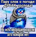 Нажмите на изображение для увеличения.

Название:	420124383_122123621174111347_3390152252549211984_n.jpg
Просмотров:	2271
Размер:	113.9 Кб
ID:	4490683