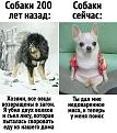 Нажмите на изображение для увеличения.

Название:	238550852_402224884574128_5538193105234488915_n.jpg
Просмотров:	3472
Размер:	100.9 Кб
ID:	4491210