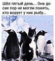 Нажмите на изображение для увеличения.

Название:	412566424_1994062544308121_7451844574634867783_n.jpg
Просмотров:	2507
Размер:	137.0 Кб
ID:	4491227