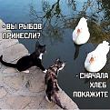 Нажмите на изображение для увеличения.

Название:	410164564_7718820174799461_163362156211963975_n.jpg
Просмотров:	2510
Размер:	135.2 Кб
ID:	4491228