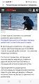 Нажмите на изображение для увеличения.

Название:	Screenshot_20240127_103156_Opera News.jpg
Просмотров:	1219
Размер:	236.8 Кб
ID:	4491304