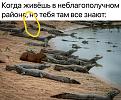 Нажмите на изображение для увеличения.

Название:	Inkedimage_581413_LI.jpg
Просмотров:	1345
Размер:	207.5 Кб
ID:	4495757