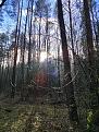 Нажмите на изображение для увеличения.

Название:	IMG_20240406_171717.jpg
Просмотров:	1518
Размер:	644.2 Кб
ID:	4497504