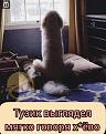 Нажмите на изображение для увеличения.

Название:	изображение_viber_2024-01-28_17-07-44-661.jpg
Просмотров:	975
Размер:	71.0 Кб
ID:	4498417