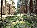 Нажмите на изображение для увеличения.

Название:	изображение_viber_2024-04-27_13-25-49-240.jpg
Просмотров:	2274
Размер:	755.2 Кб
ID:	4498897