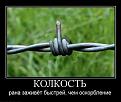 Нажмите на изображение для увеличения.

Название:	515.jpg
Просмотров:	6038
Размер:	39.9 Кб
ID:	4500984