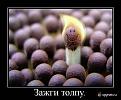 Нажмите на изображение для увеличения.

Название:	b73c730586.jpg
Просмотров:	6037
Размер:	45.2 Кб
ID:	4500990