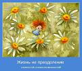 Нажмите на изображение для увеличения.

Название:	s3img_190022605_1413_1.jpg
Просмотров:	6030
Размер:	88.7 Кб
ID:	4501004