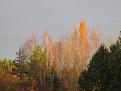 Нажмите на изображение для увеличения.

Название:	IMG_8425.JPG
Просмотров:	646
Размер:	321.8 Кб
ID:	4512172