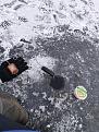 Нажмите на изображение для увеличения.

Название:	IMG_20250112_171827.jpg
Просмотров:	598
Размер:	646.7 Кб
ID:	4516552