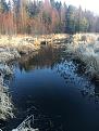 Нажмите на изображение для увеличения.

Название:	IMG_2929.JPG
Просмотров:	4080
Размер:	550.6 Кб
ID:	4517999