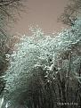 Нажмите на изображение для увеличения.

Название:	IMG_20250405_210613.jpg
Просмотров:	461
Размер:	392.4 Кб
ID:	4522731