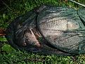 Нажмите на изображение для увеличения.

Название:	IMG_20250430_220512.jpg
Просмотров:	120
Размер:	720.2 Кб
ID:	4525170