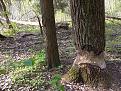 Нажмите на изображение для увеличения.

Название:	IMG_20250503_094952.jpg
Просмотров:	271
Размер:	745.2 Кб
ID:	4525456