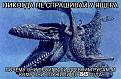 Нажмите на изображение для увеличения.

Название:	!!!!ЯЯЯ!!!.jpg
Просмотров:	7
Размер:	186.0 Кб
ID:	4532848