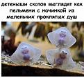 Нажмите на изображение для увеличения.

Название:	418876785_392750106461270_4545345809393406473_n.jpg
Просмотров:	0
Размер:	81.8 Кб
ID:	4539166