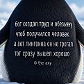 Нажмите на изображение для увеличения.

Название:	726814913_1543145451156396_8780868660814072103_n.jpg
Просмотров:	63
Размер:	419.9 Кб
ID:	4564946