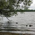 Нажмите на изображение для увеличения.

Название:	IMG_20260712_160324.jpg
Просмотров:	39
Размер:	686.9 Кб
ID:	4566483