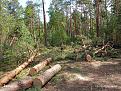 Нажмите на изображение для увеличения.

Название:	IMG_20260808_132001.jpg
Просмотров:	45
Размер:	725.2 Кб
ID:	4569145