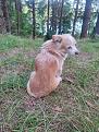 Нажмите на изображение для увеличения.

Название:	IMG_20260815_195242.jpg
Просмотров:	108
Размер:	653.0 Кб
ID:	4569531