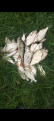 Нажмите на изображение для увеличения.

Название:	Screenshot_20260903-013631.png
Просмотров:	21
Размер:	253.9 Кб
ID:	4571255