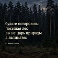 Нажмите на изображение для увеличения.

Название:	813137319_1627730092697931_7955390343699210308_n.jpg
Просмотров:	234
Размер:	314.7 Кб
ID:	4573783