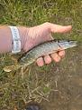 Нажмите на изображение для увеличения.

Название:	20261008_160119.jpg
Просмотров:	18
Размер:	328.2 Кб
ID:	4603941