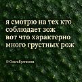 Нажмите на изображение для увеличения.

Название:	843843795_1655735756564031_753354913210283262_n.jpg
Просмотров:	249
Размер:	414.1 Кб
ID:	4604908