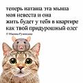 Нажмите на изображение для увеличения.

Название:	858153321_1662221049248835_538378816931393484_n.jpg
Просмотров:	248
Размер:	231.8 Кб
ID:	4604915