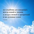 Нажмите на изображение для увеличения.

Название:	855759376_1663289589141981_8948371959536675713_n.jpg
Просмотров:	306
Размер:	166.0 Кб
ID:	4605408