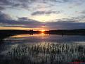 DSC00031