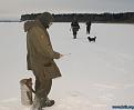 Новополоцкие