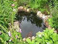 IMG 0056