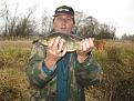 IMG 4172