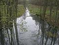 IMG 4179