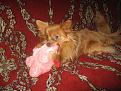 IMG 4188